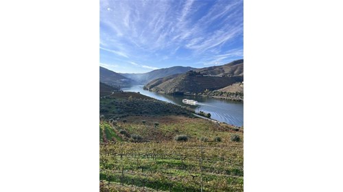 River Cruise through Douro Valley, Portugal