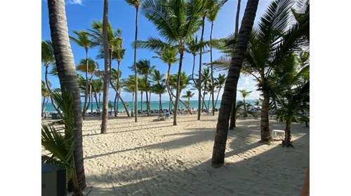A Day In Paradise