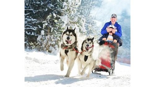 Don't blindly travel to Alaska!