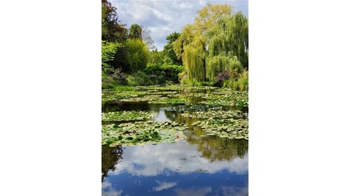 The Gardens of Château de Malmaison