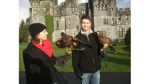 Falconry at Ashford Castle