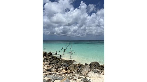 Specializing in Cruises + Resort Destinations