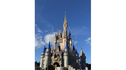 The iconic Cinderella Castle
