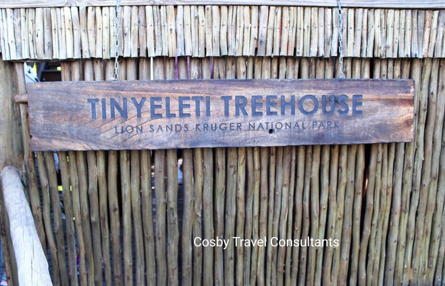 Tinyeleti Treehouse at Lion Sands Game Reserve