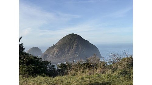 Sea stack formations off the Oregon coast.
