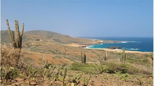 Scenic route to Conchi Natural Pool in Aruba