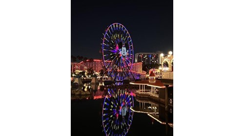 Disney's California Adventure
