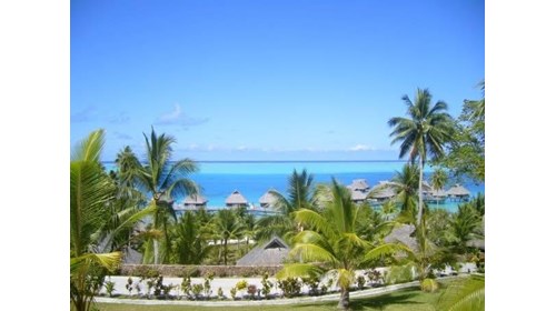 Bora Bora, Tahiti was absolutely breathtaking!