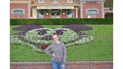 The entrance to Disneyland! 