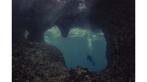 A swim-through in Indonesia.