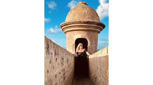 Luxury Travel Advisor