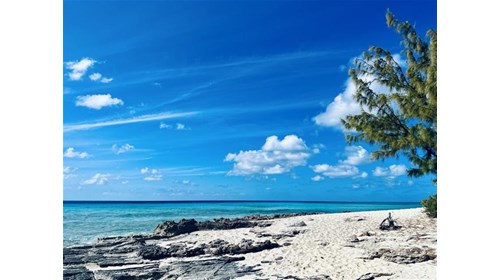 Governor's Beach, Grand Turk February 2025
