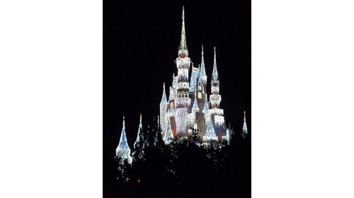 Magical Castle Moments