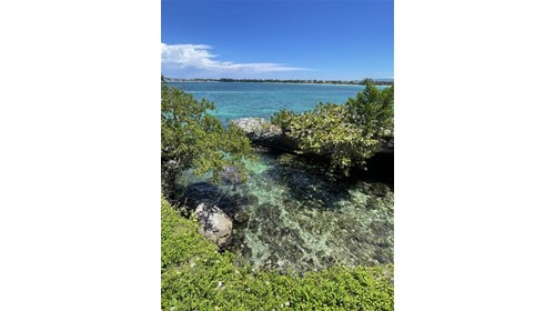 Jamaica
