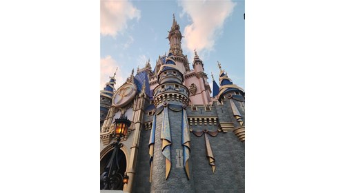 Walt Disney World