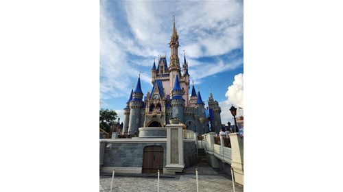 Pixie Dust & Magic