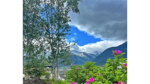 Alaska in July