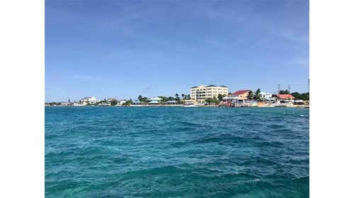 Cruise and All-Inclusive Travel Specialist