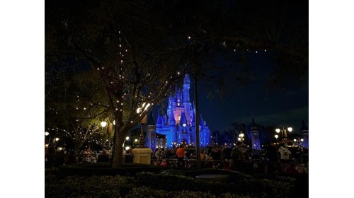 Cinderella's Castle at Night 