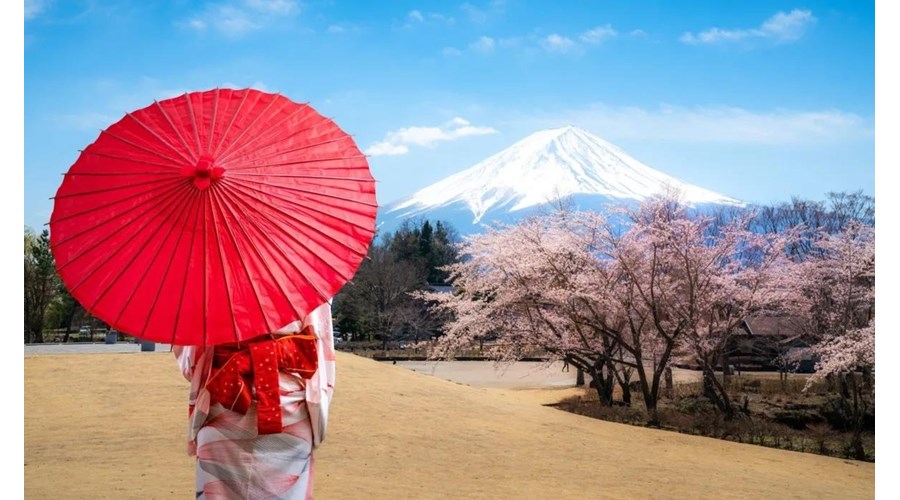 Vacation Itinerary - Japan: Cherry Blossom Edition