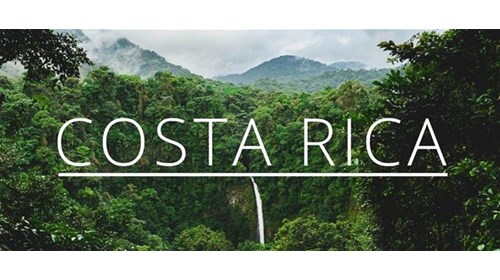 Let's create YOUR perfect trip!!