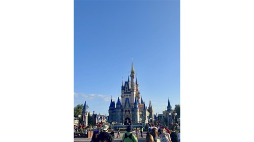 The Most Magical Place on Earth!
