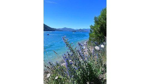 Taken from a hike in Picton, New Zealand 
