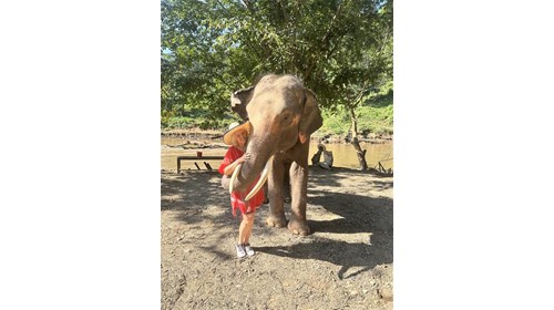 Chiang Mai Thailand