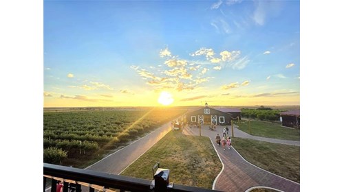 Roof top views over looking a beautiful farm in FL
