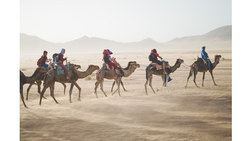 Morocco, Camel Tour