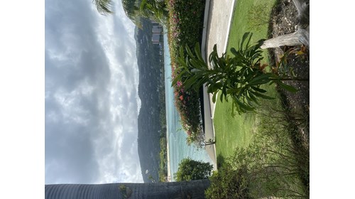 Secrets Wild Orchid Mobay