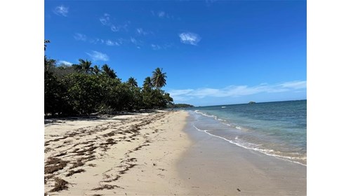 Sun, sand and the spirit of adventure.