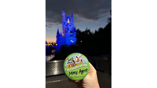 Celebrating in the most Magical Place