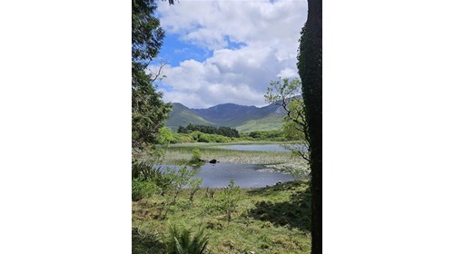 On the grounds of Kylemore Abbey in Galway,Ireland