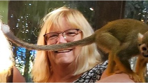 Monkeys in Mexico!
