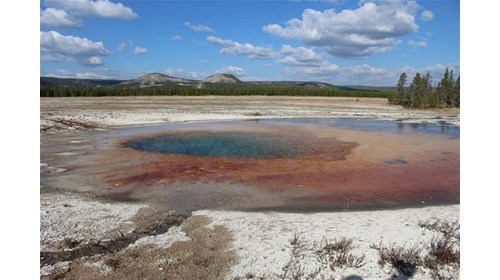 Yellowstone National Park - Photo Taken By Me