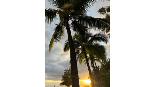 Honeymoon and Romance Travel Specialist