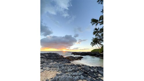 Hawaii Destination Expert