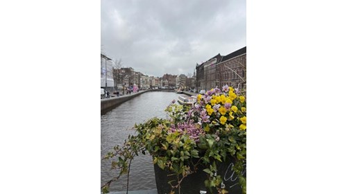 Springtime in Amsterdam