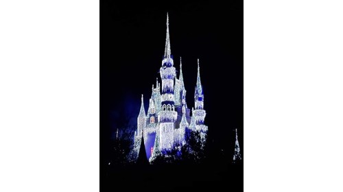 DIsney Specialist 