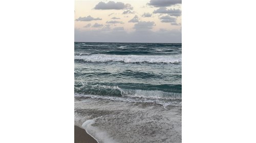 Palm Beach 