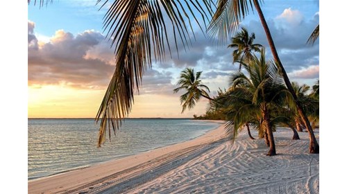 Bask in the warmth of sandy shores and endless sun