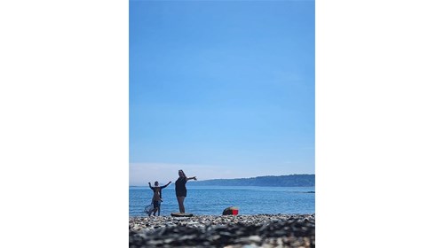 Maine coast tide pool searching