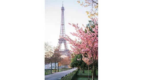 Paris in the Spring