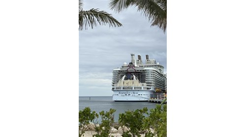Brother wedding on the Symphony of the Seas