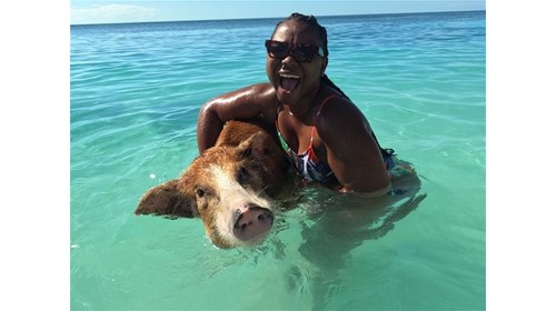Swimming w/ the Pigs - The Bahamas