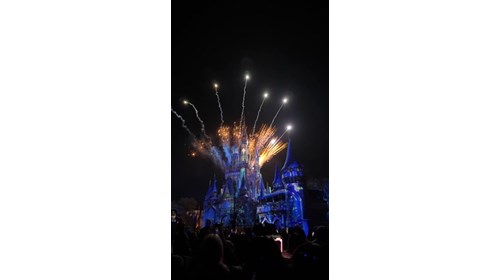 The Magic of Disney! 