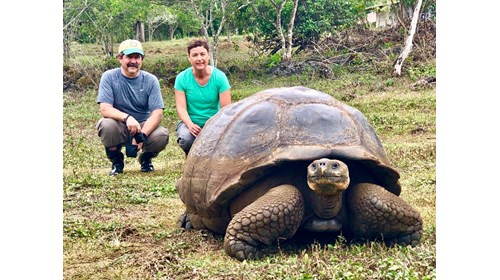 Tortoise, Galapagos Islands
