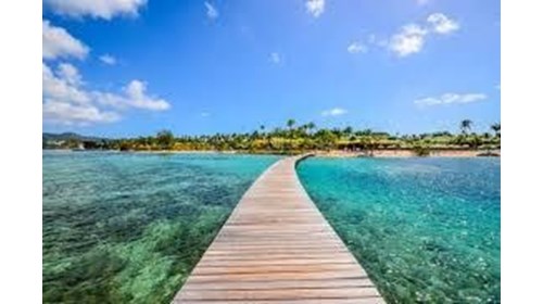 Club Med Travel Specialist 