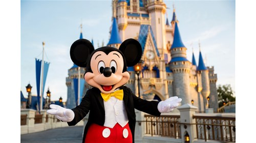 Your Park-Planning Fairy Godmother - Disney World